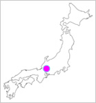 Gion Matsuri