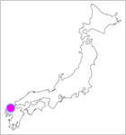 Hakata Yamakasa
