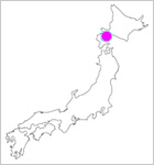 YukiMatsuri